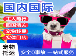 佛山沙堤机场托运国际宠物托运 【国